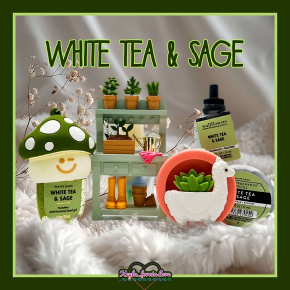 BBW🦙 White Tea & Sage 🪴6 pc gift set